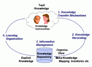 Knowledge processes